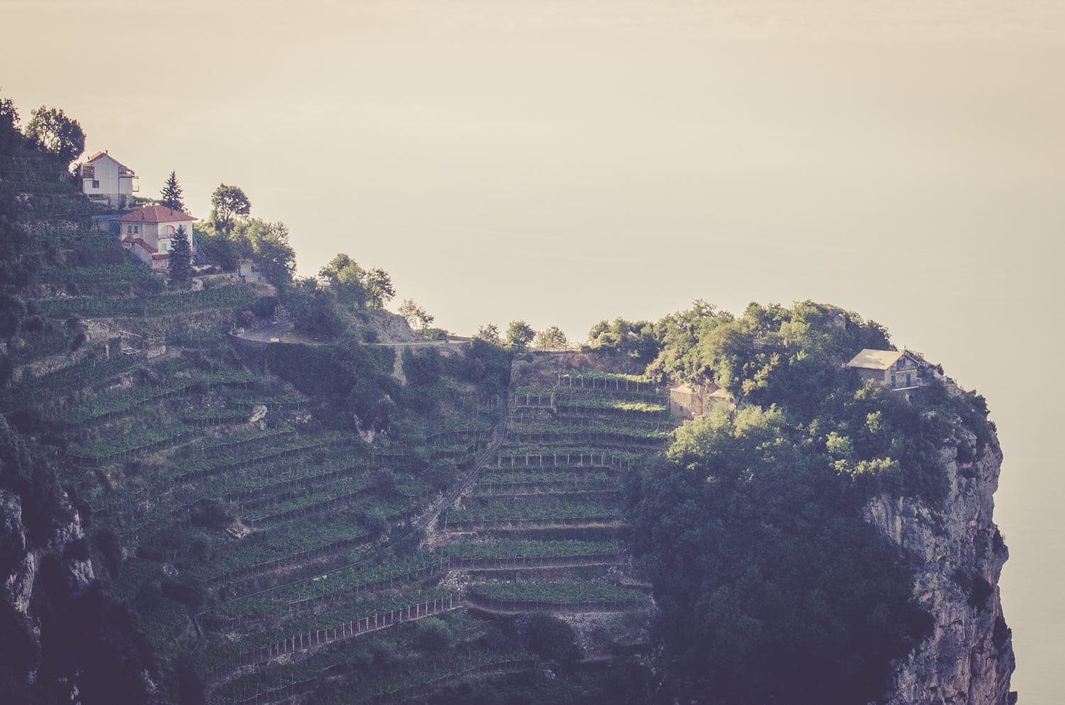 Plenty of vineyards dot the side of the mountains